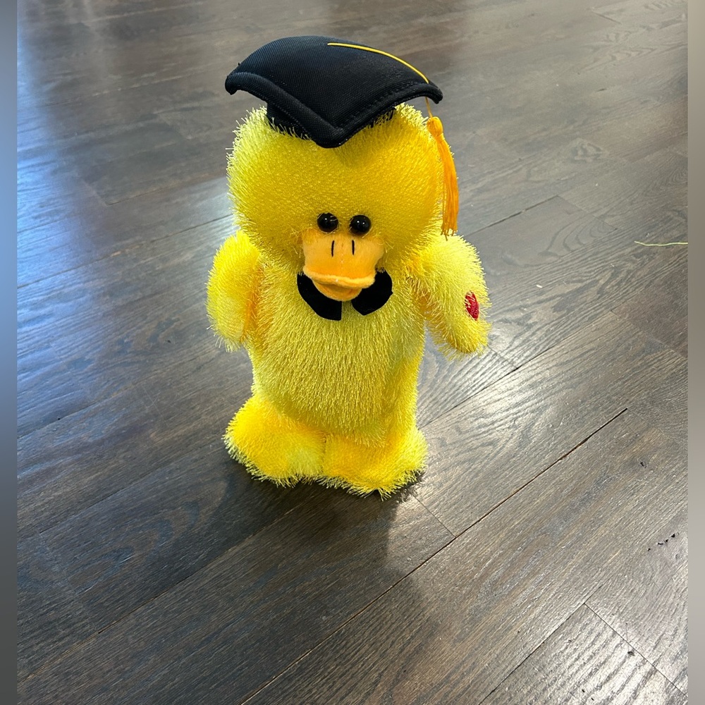 Graduation cap singing duck “if you’re happy and you know it”